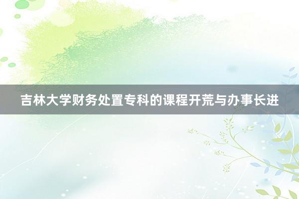 吉林大学财务处置专科的课程开荒与办事长进