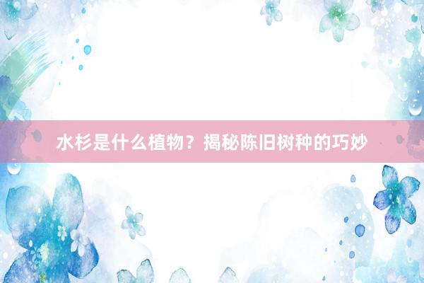 水杉是什么植物？揭秘陈旧树种的巧妙