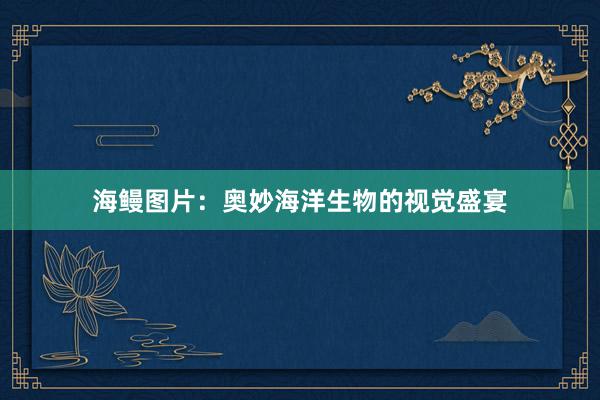 海鳗图片：奥妙海洋生物的视觉盛宴
