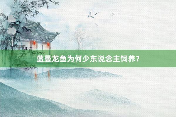 蓝曼龙鱼为何少东说念主饲养？